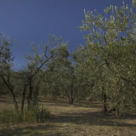 Il Falconiere Relais&spa 5*